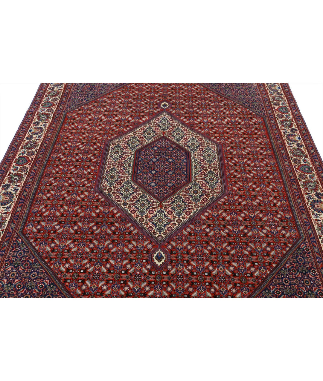 Persian Bijar Rug 6' 7" x 9' 9" Hand-Knotted | No. AT26684