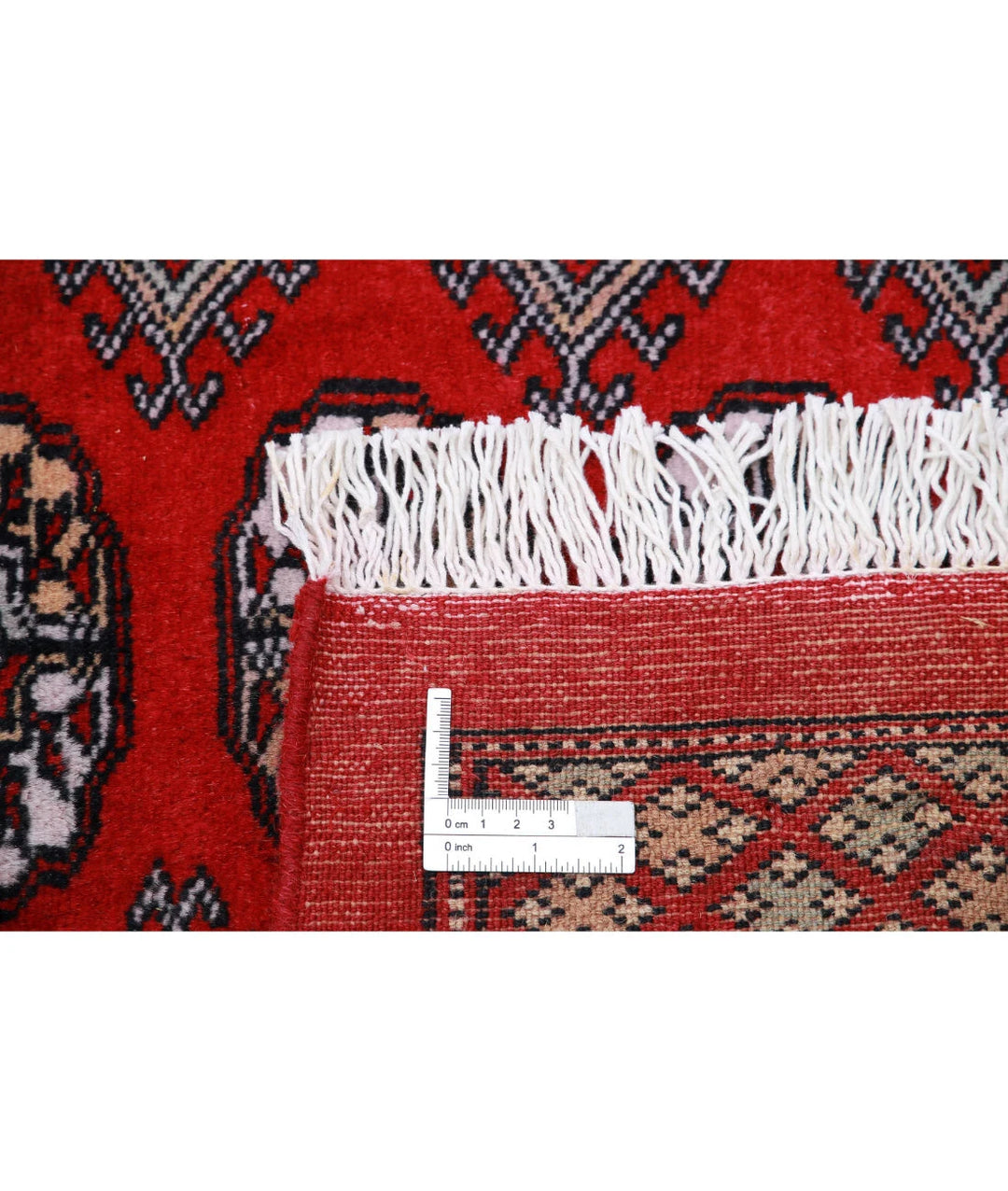 Pakistani Bokhara Rug 9' 11" x 13' 8" Hand-Knotted | No. AT28037