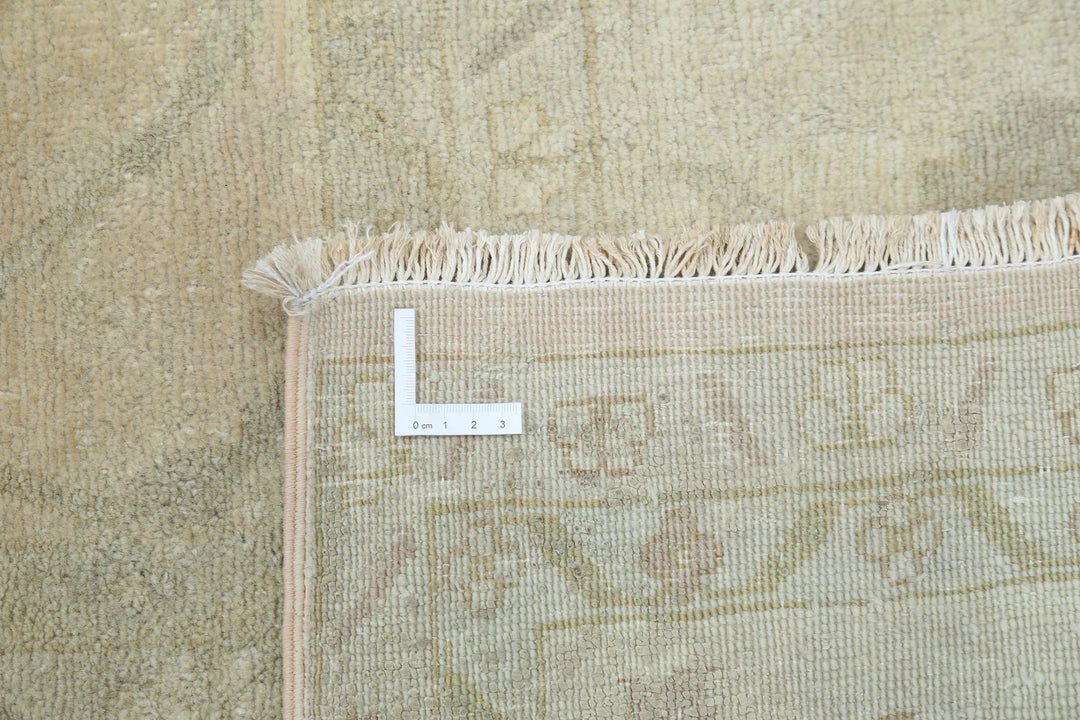 Indian Ziegler Rug 8' 11" x 12' 6" Hand-Knotted | No. AT52200