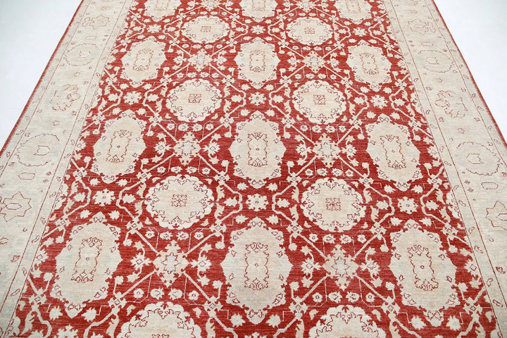 Afghan Ziegler Rug 7' 11" x 9' 9" Hand-Knotted | No. AT64200