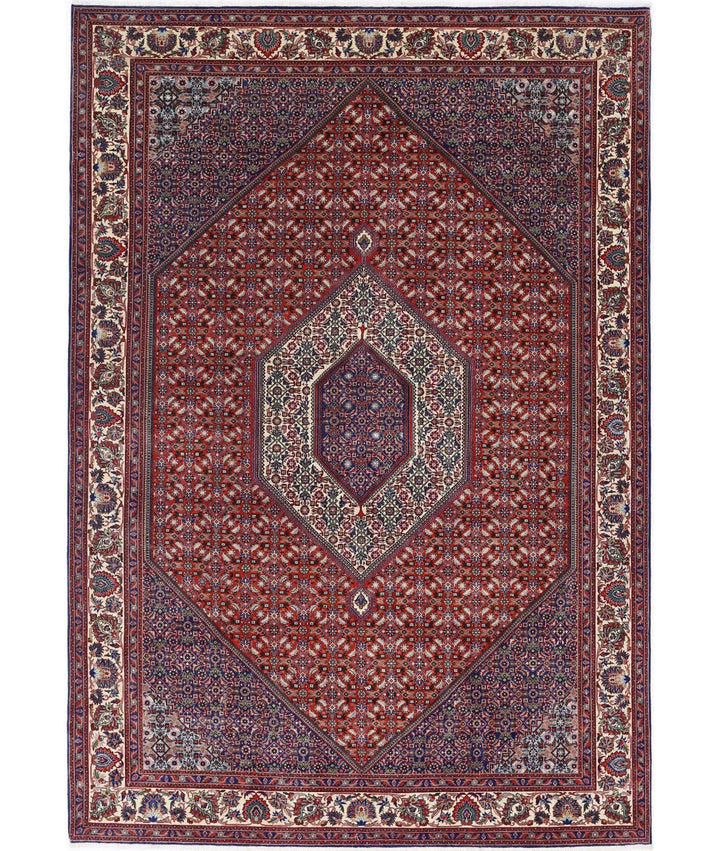 Persian Bijar Rug 6' 7" x 9' 9" Hand-Knotted | No. AT69799