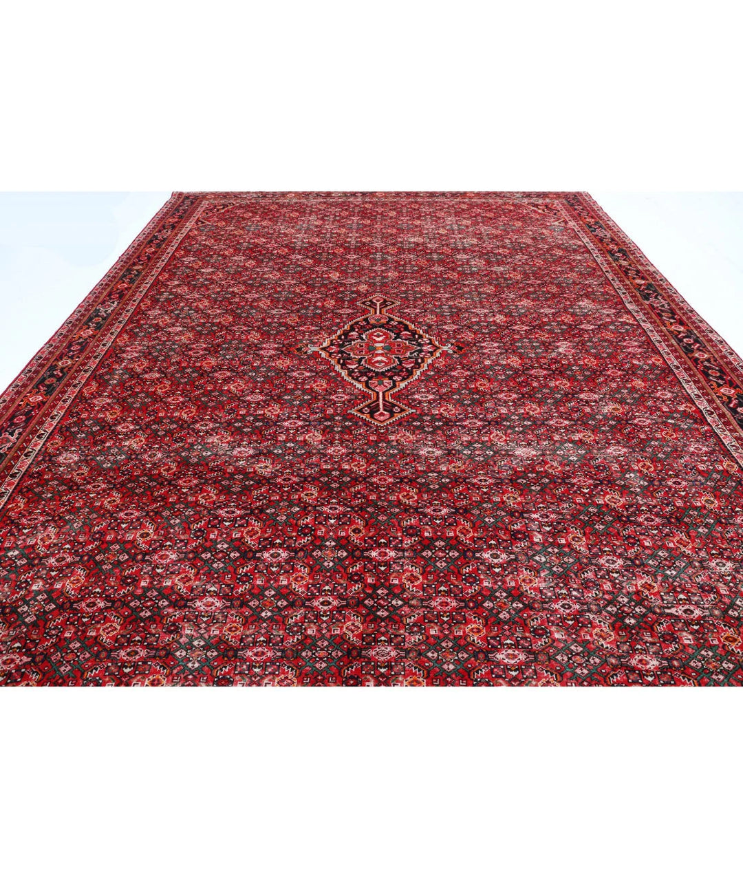 Persian Hamadan Rug 11' 1" x 14' 10" Hand-Knotted | No. AT74357