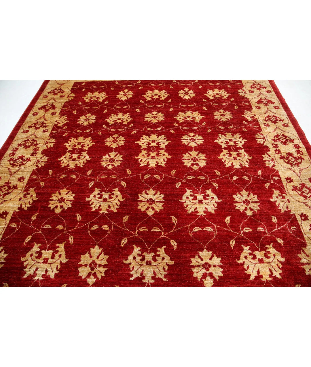 Afghan Modcar Rug 8' 3" x 9' 5" Hand-Knotted | No. AT80442