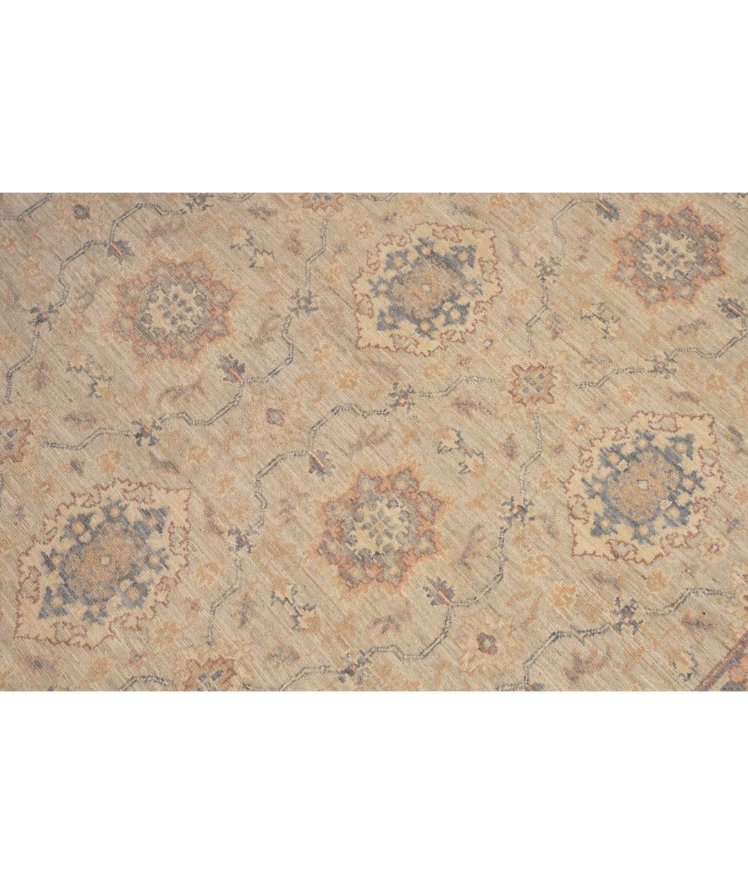 Afghan Ariana Haji Jalili Rug 5' 11" x 16' 8" Hand-Knotted | No. AT84037