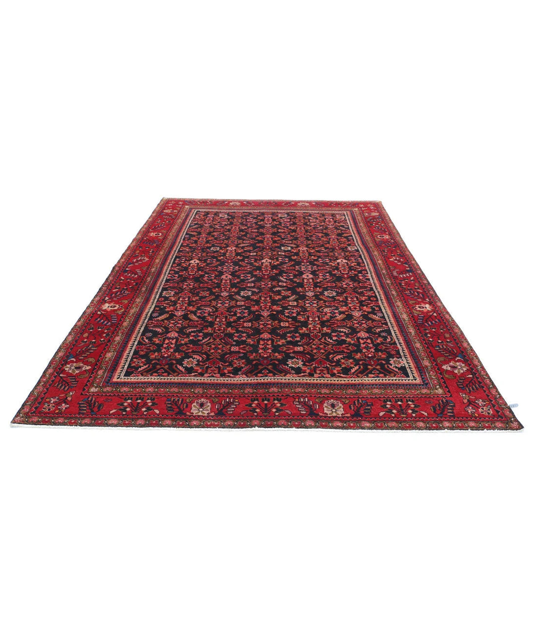 Persian Hamadan Rug 6' 11" x 9' 11" Hand-Knotted | No. AT91693