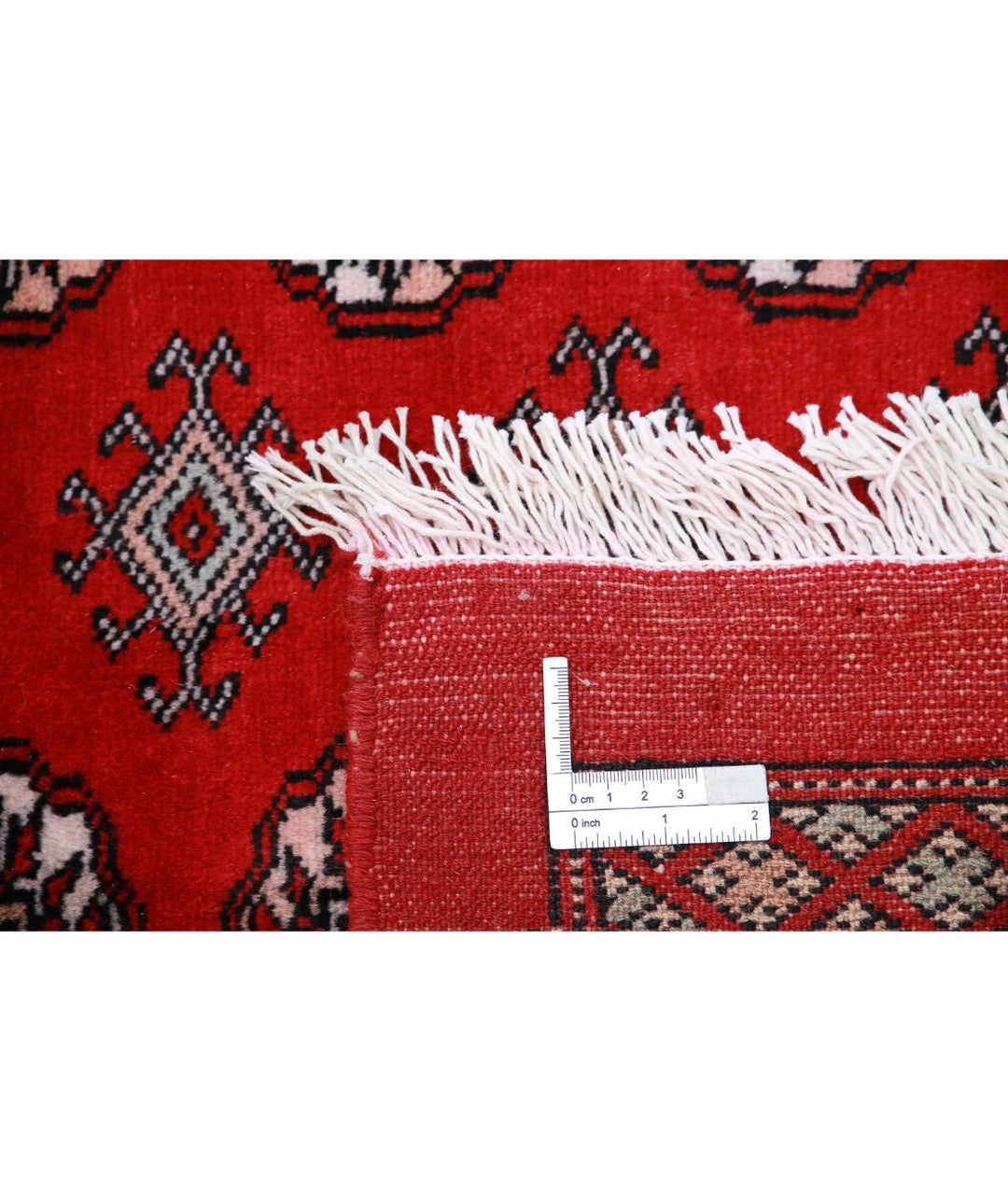 Red Pakistani Bokhara Rug 10' 2" x 13' 5" Hand-Knotted | No. AT92255