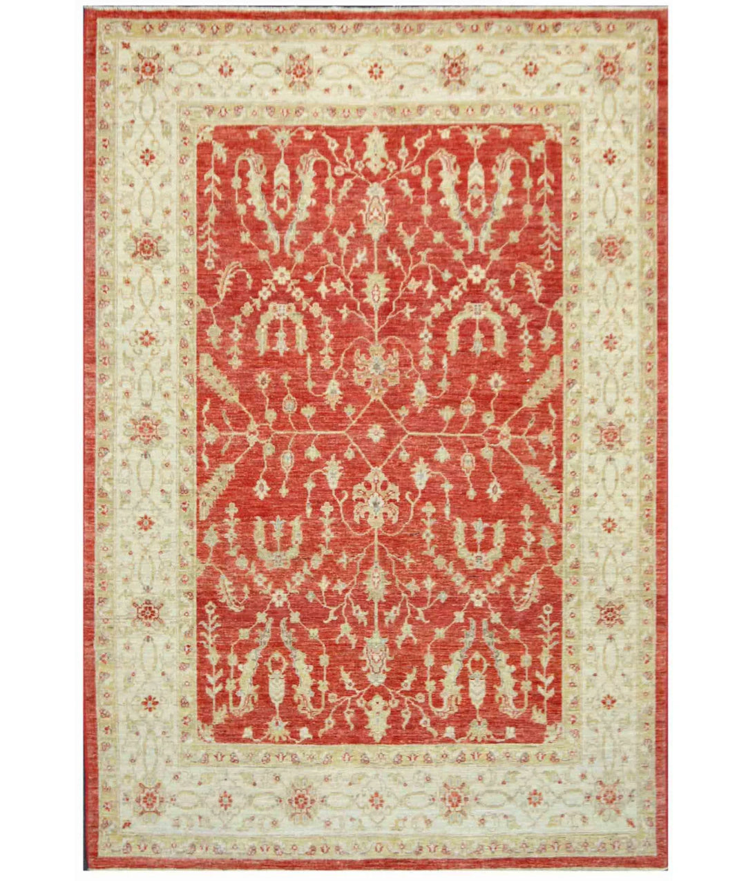 Afghan Ziegler Rug 5' 7" x 7' 11" Hand-Knotted | No. AT96544