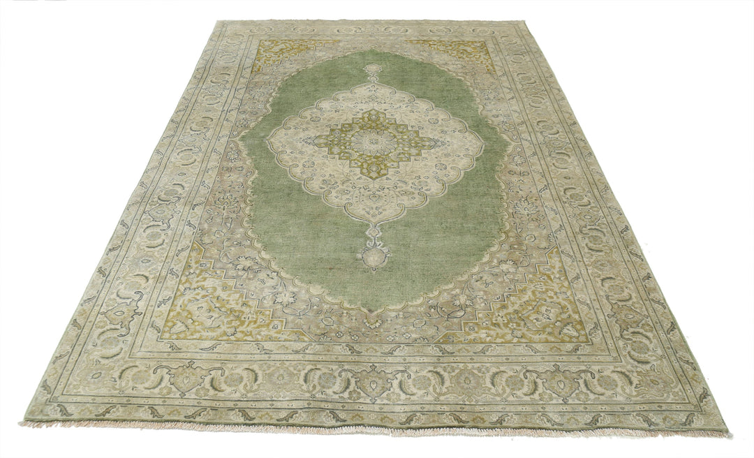 Afghan Ziegler Rug 5' 11" x 8' 9" Hand-Knotted | No. AT74880