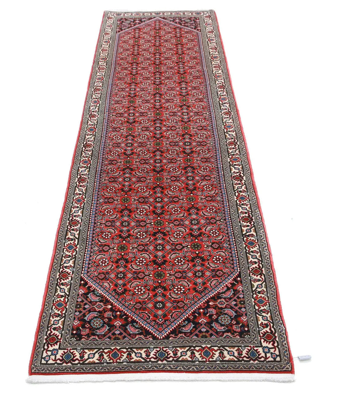 Afghan Bijar Runner Rug 2' 6" x 9' 5" Hand-Knotted | No. AT17569
