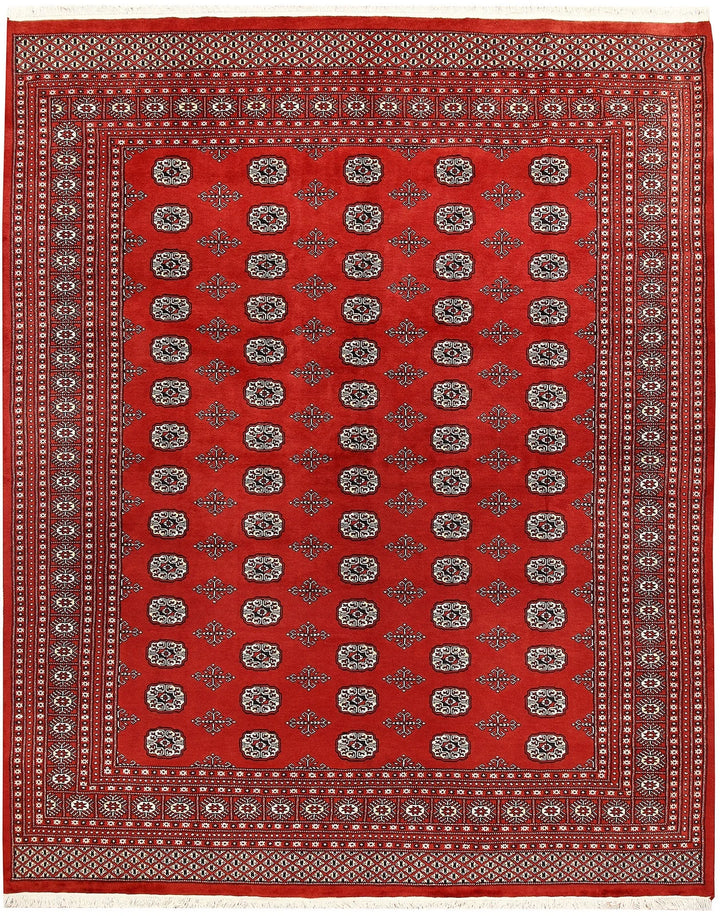 Firebrick Red Pakistani Bokhara Rug 8' 2" x 10' 3" Hand-Knotted | No. QA13906