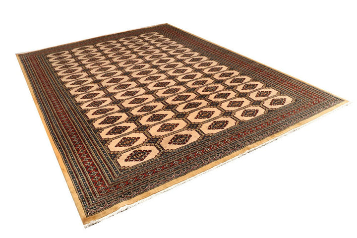 Brown Pakistani Jaldar Rug 8' 2" x 11' Hand-Knotted | No. QA17015