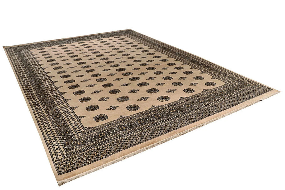 Brown Pakistani Bokhara Rug 10' 1" x 13' 5" Hand-Knotted | No. QA19868