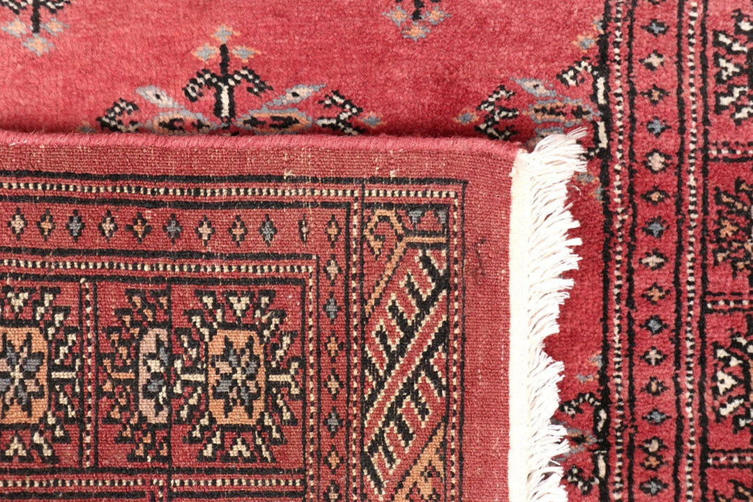 Red Pakistani Butterfly Rug 2' 7" x 11' 11" Hand-Knotted | No. QA19997