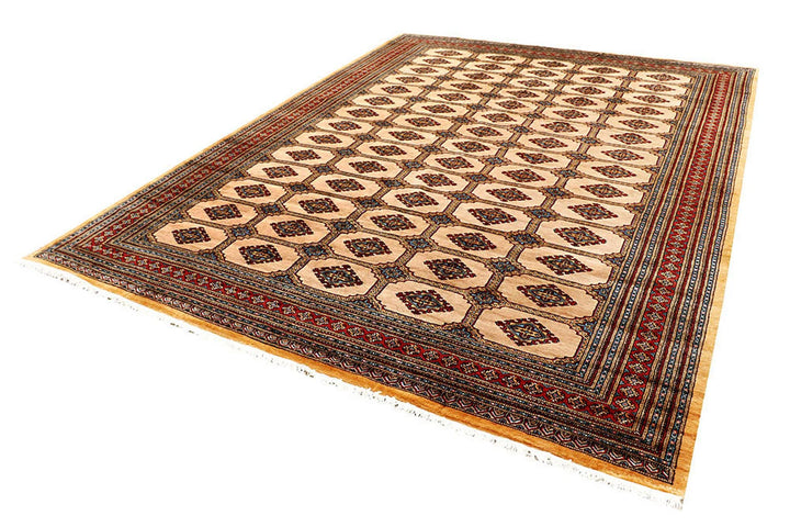 Brown Pakistani Jaldar Rug 8' 2" x 10' 11" Hand-Knotted | No. QA21476