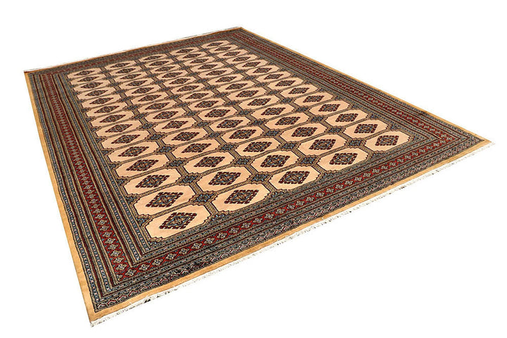 Brown Pakistani Jaldar Rug 8' 2" x 10' 11" Hand-Knotted | No. QA21476