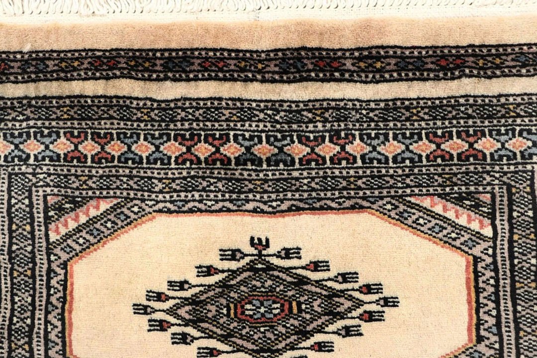 Brown Pakistani Jaldar Rug 2' 4" x 9' 4" Hand-Knotted | No. QA26621