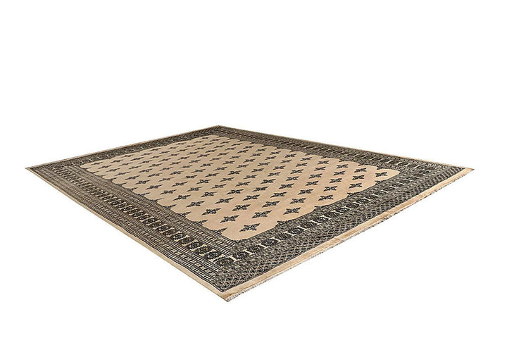 Brown Oriental Butterfly Rug 9' 2" x 12' 3" Hand-Knotted | No. QA33663