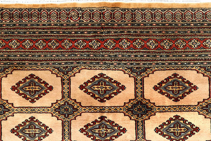 Brown Pakistani Jaldar Rug 8' x 10'9" Hand-Knotted | No. QA36679