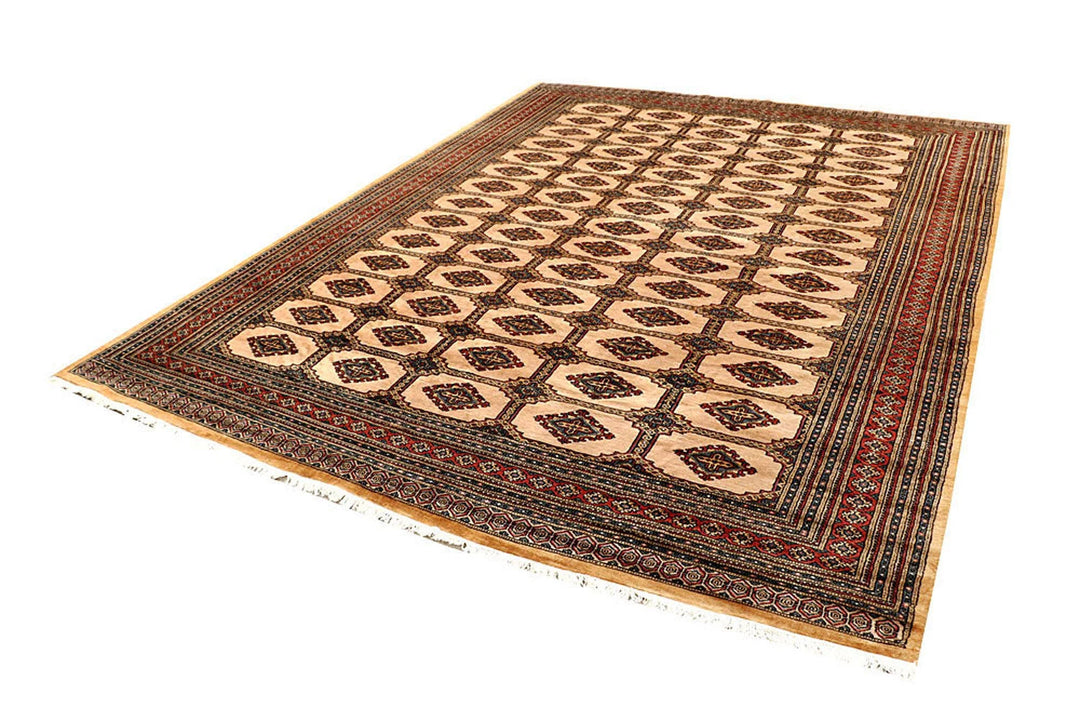 Brown Pakistani Jaldar Rug 8' x 10'9" Hand-Knotted | No. QA36679