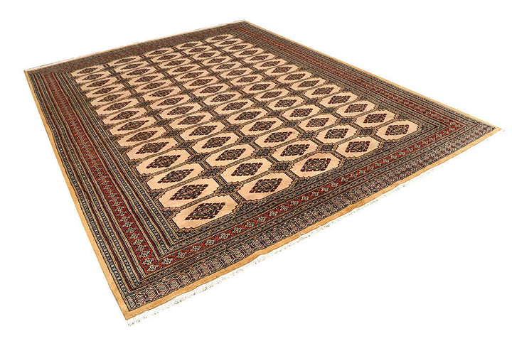 Brown Pakistani Jaldar Rug 8' x 10'9" Hand-Knotted | No. QA36679