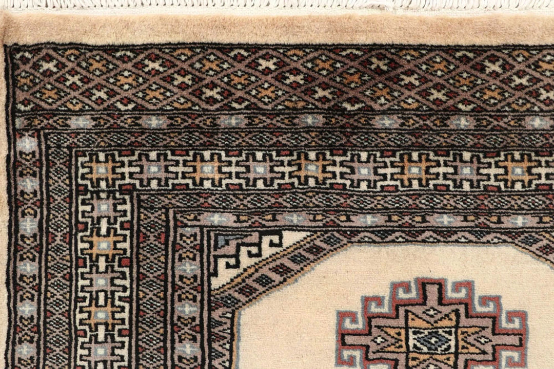 Brown Pakistani Jaldar Rug 2' 6" x 10' 6" Hand-Knotted | No. QA38938