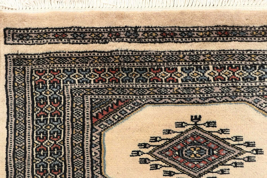 White Pakistani Jaldar Rug 2' 4" x 9' Hand-Knotted | No. QA39773