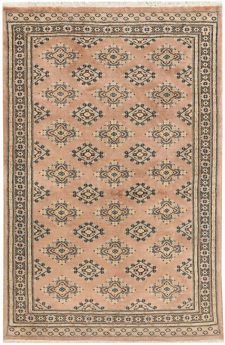Brown Pakistani Jaldar Rug 4' x 6'1" Hand-Knotted | No. QA44591