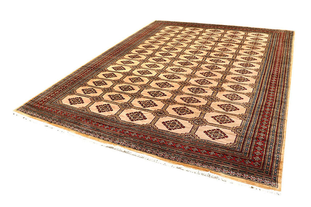Brown Pakistani Jaldar Rug 8' 2" x 10' 11" Hand-Knotted | No. QA46218