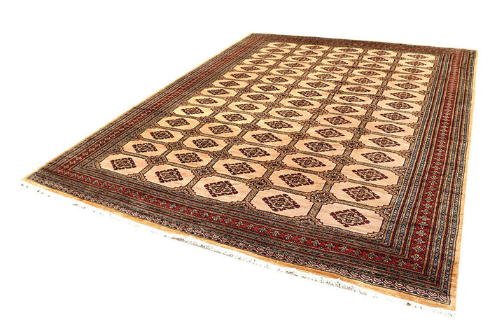Brown Pakistani Jaldar Rug 8' 2" x 10' 11" Hand-Knotted | No. QA46218