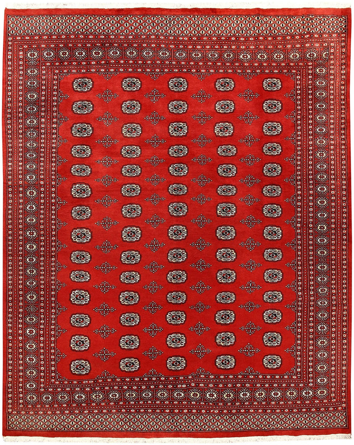 Firebrick Red Pakistani Bokhara Rug 8' 2" x 10' 2" Hand-Knotted | No. QA62594