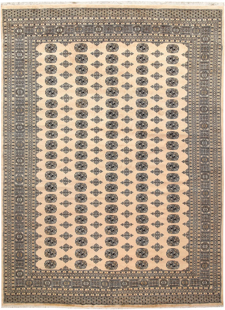Brown Pakistani Bokhara Rug 9' x 12'3" Hand-Knotted | No. QA76994