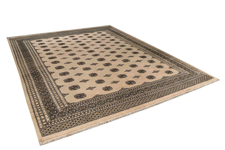 Brown Pakistani Bokhara Rug 9' 10" x 12' 4" Hand-Knotted | No. QA77010