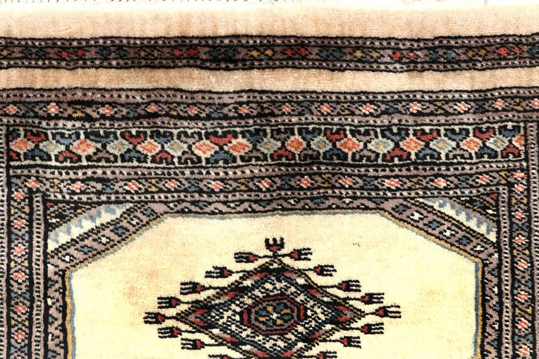 Brown Pakistani Jaldar Rug 2' 4" x 9' 5" Hand-Knotted | No. QA79895