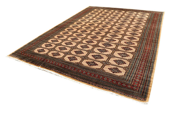 Brown Pakistani Jaldar Rug 8' 2" x 11' 7" Hand-Knotted | No. QA83053