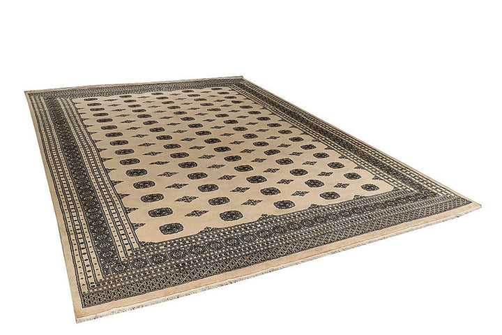 Brown Pakistani Bokhara Rug 10' x 13'4" Hand-Knotted | No. QA86407