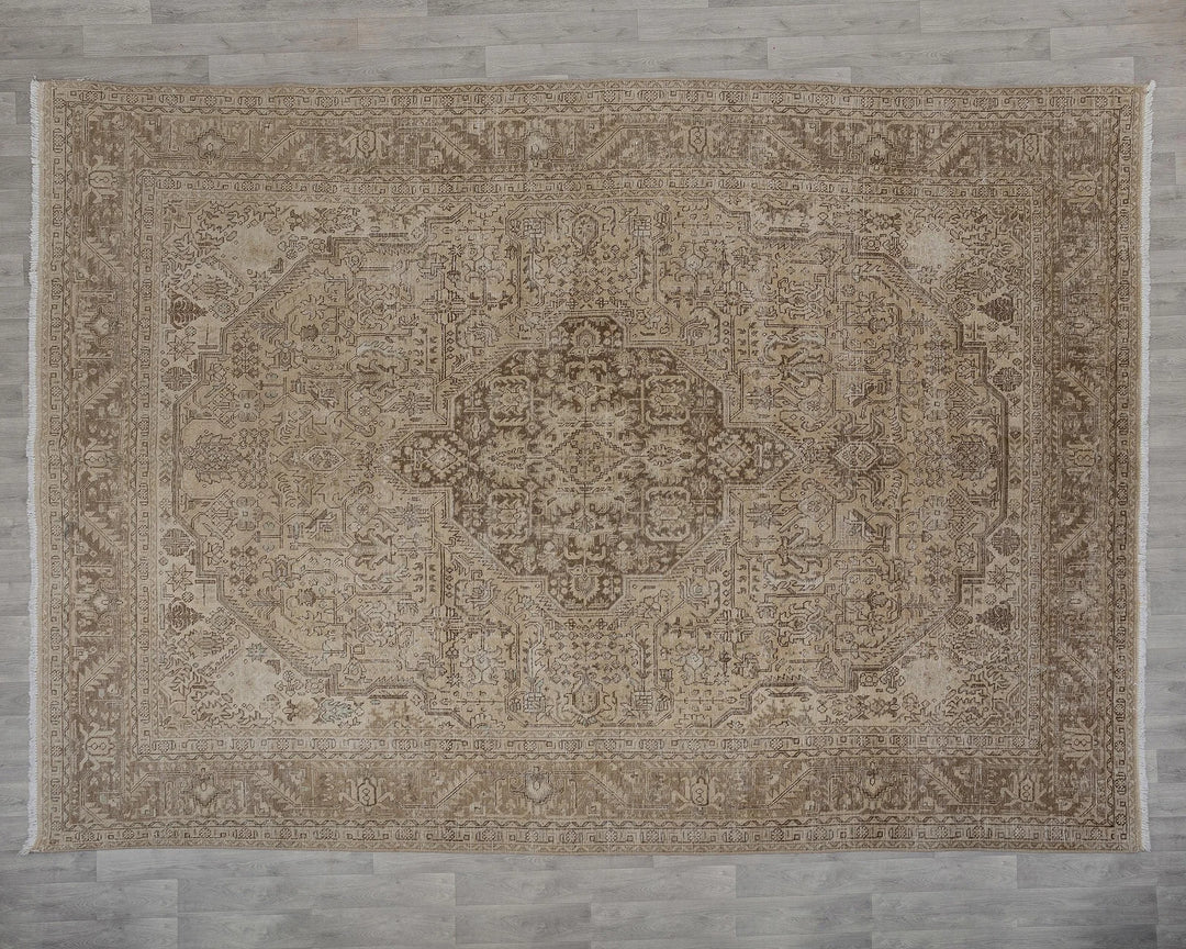 Beige Turkish Oushak Rug 9' 5" x 13' Hand-Knotted view 9