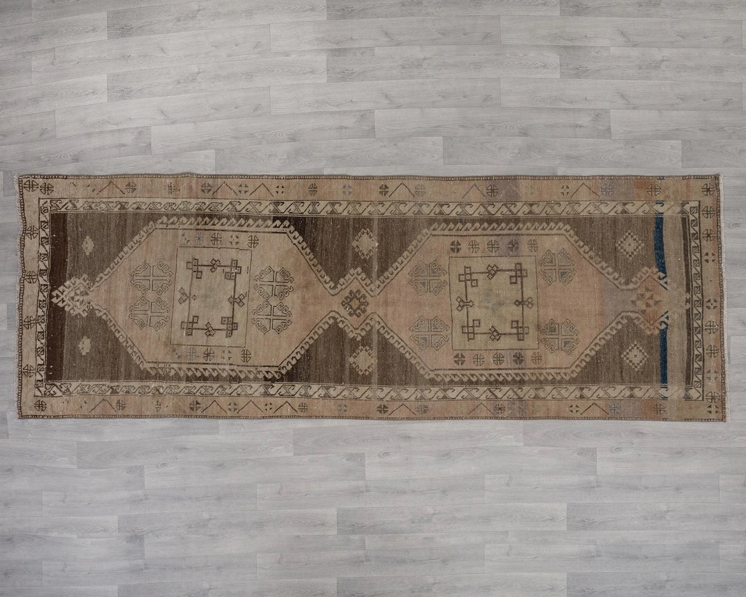 Runner Rug 3' x 10' | No. VR21231