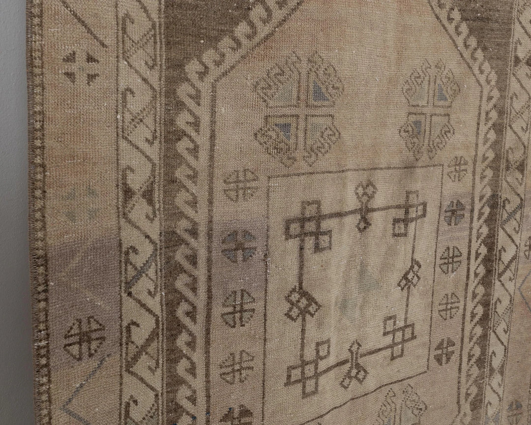 Runner Rug 3' x 10' | No. VR21231