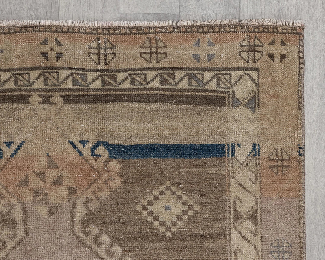 Runner Rug 3' x 10' | No. VR21231