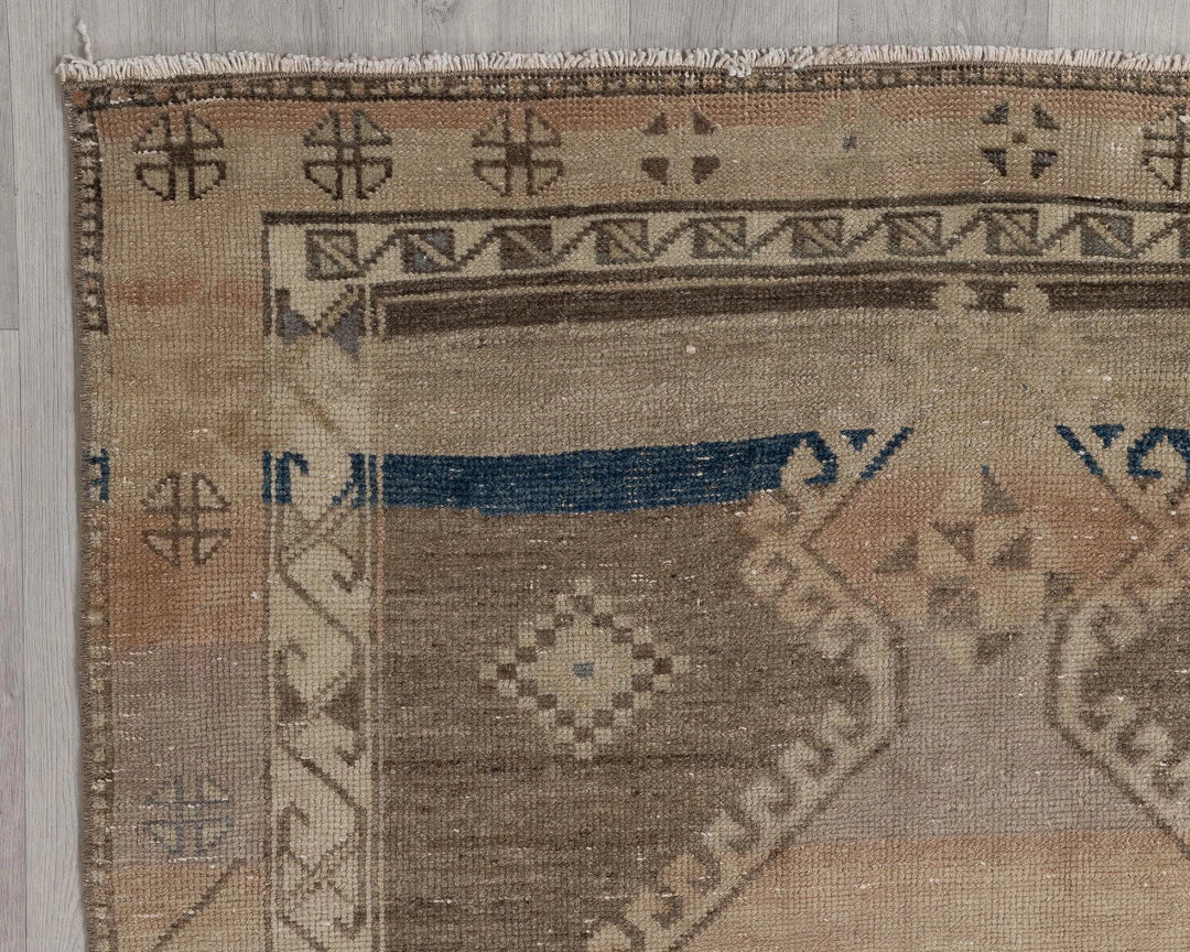 Runner Rug 3' x 10' | No. VR21231