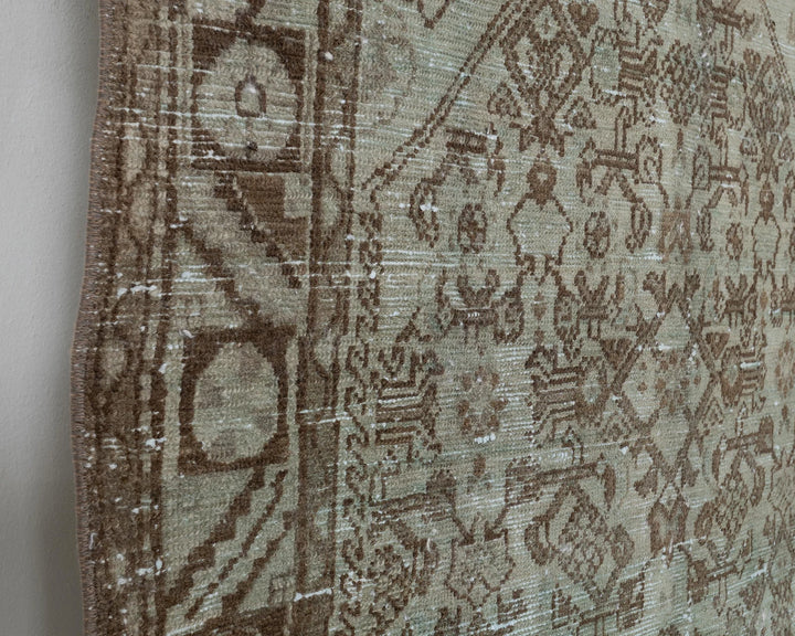 Runner Rug 3' 10" x 9' 11" | No. VR23080