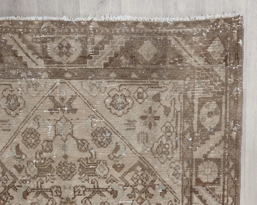 Runner Rug 3' 10" x 9' 11" | No. VR23080