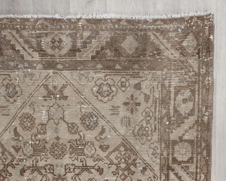 Runner Rug 3' 10" x 9' 11" | No. VR23080