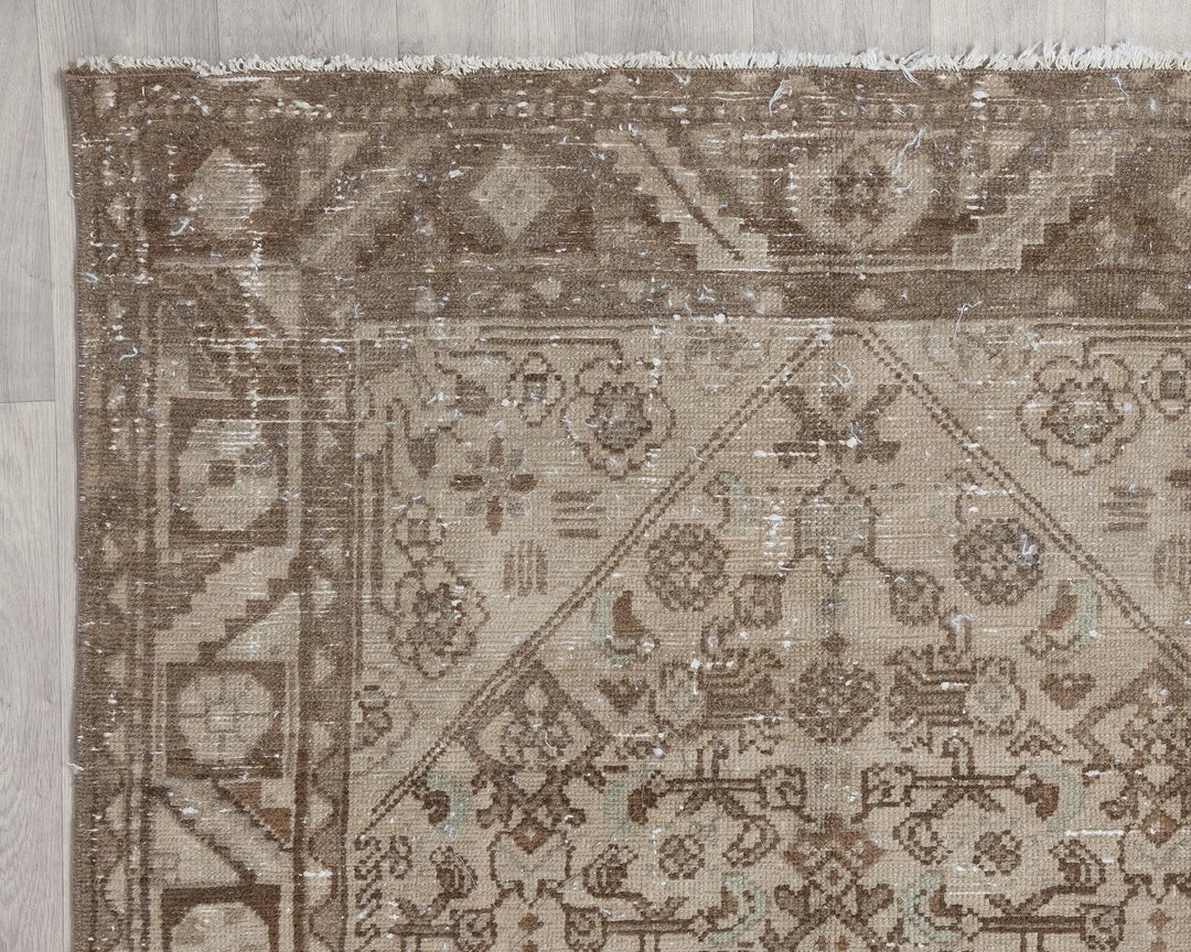 Runner Rug 3' 10" x 9' 11" | No. VR23080