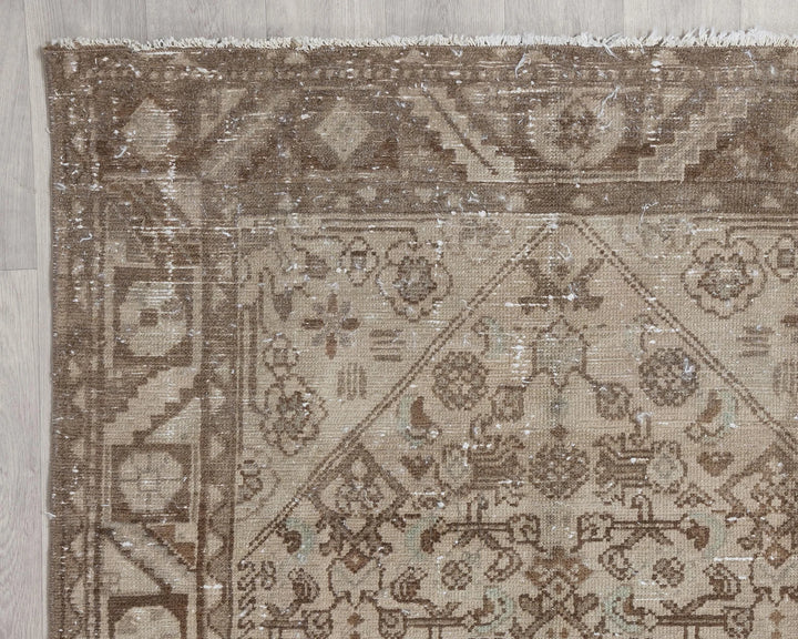 Runner Rug 3' 10" x 9' 11" | No. VR23080