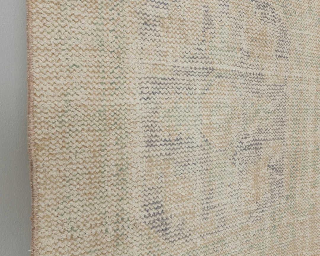 Beige Runner Rug 2' 6" x 11' 8" | No. VR23782