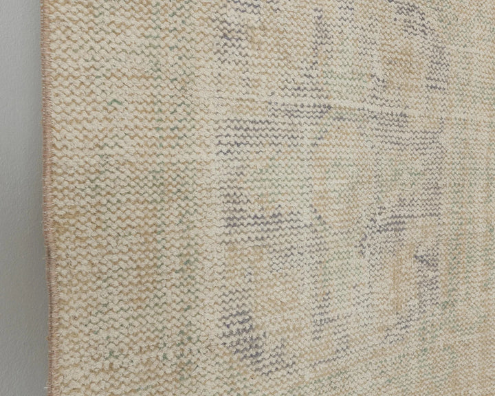 Beige Runner Rug 2' 6" x 11' 8" | No. VR23782