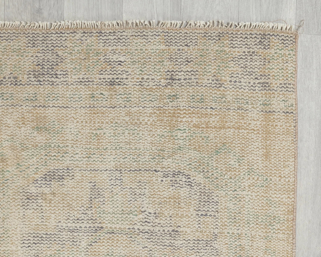 Beige Runner Rug 2' 6" x 11' 8" | No. VR23782