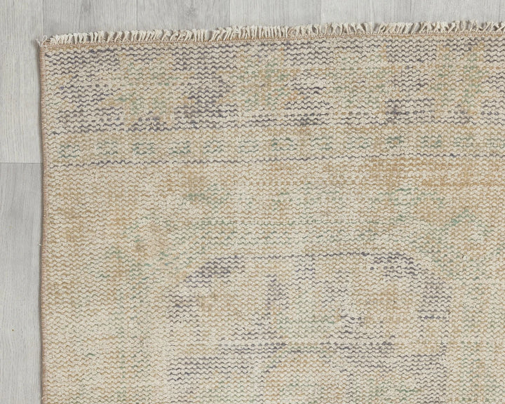 Beige Runner Rug 2' 6" x 11' 8" | No. VR23782