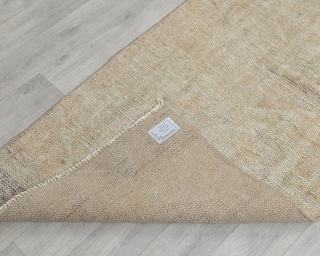 Beige Runner Rug 2' 6" x 11' 8" | No. VR23782